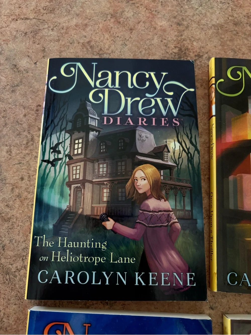 Nancy Drew Diaries Book Lot Carolyn Keene